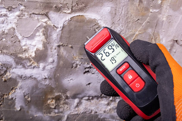 Best Residential Mold Remediation in Salyersville, KY