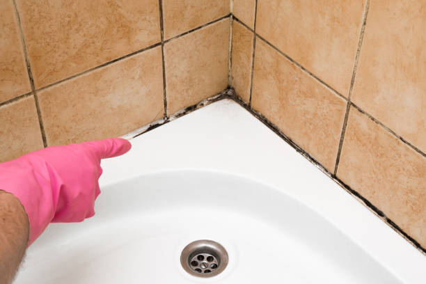 Best Bathroom Mold Remediation in Salyersville, KY